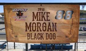 Morgan sign